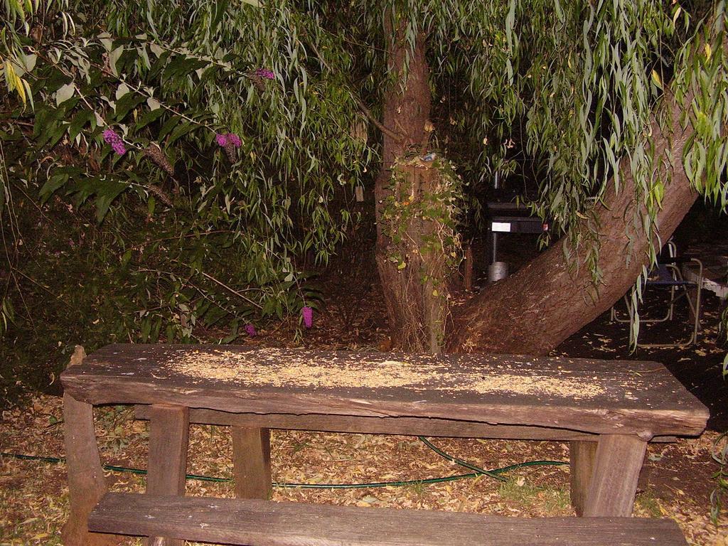 Black Cockatoo Lodge Nannup Exterior foto
